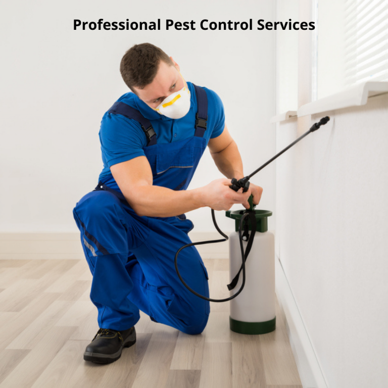 Professional Pest Control Service